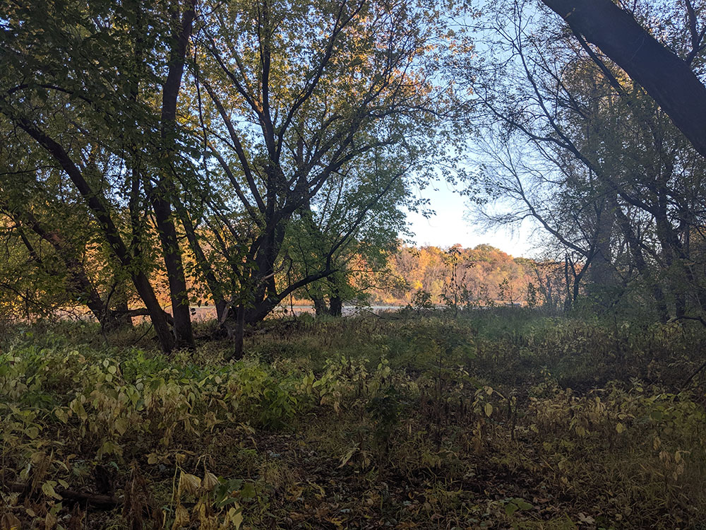 usfs_nrs's tweet photo. What can land managers do today to help forests adapt to changes in habitat suitability of tree species, changes in pest behavior, and shifting hydrological patterns and other stressors associated with #climate change? https://t.co/JV5PhRCbbc
#ForestAdaptation https://t.co/YGJ1TAZYat