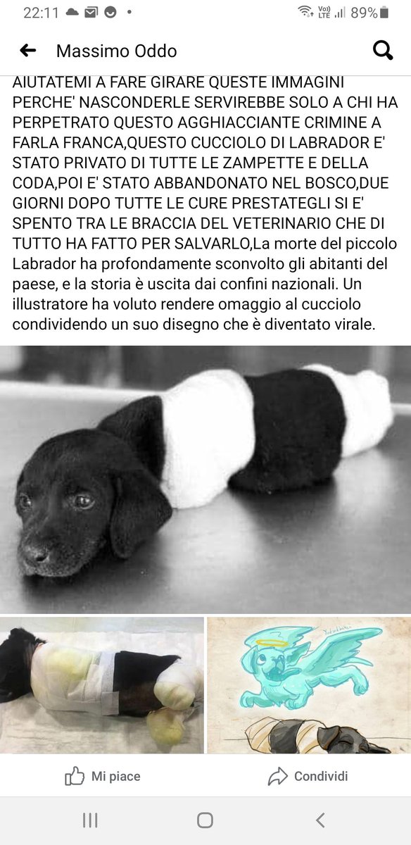 #WAL

AGGHIACCIANTE.😭
X FAVORE AIUTATE MASSIMO ODDO
CHE CHIEDE DI FAR GIRARE QUESTO
POST. GRAZIE

RIPOSA IN PACE ANGIOLETTO BELLO
ORA SEI IN UN MONDO DI FELICITÀ E
DAGLI ANGELI TANTO AMATO. CIAO 
PICCOLO 
💙💙💙😇😇😇💙💙💙