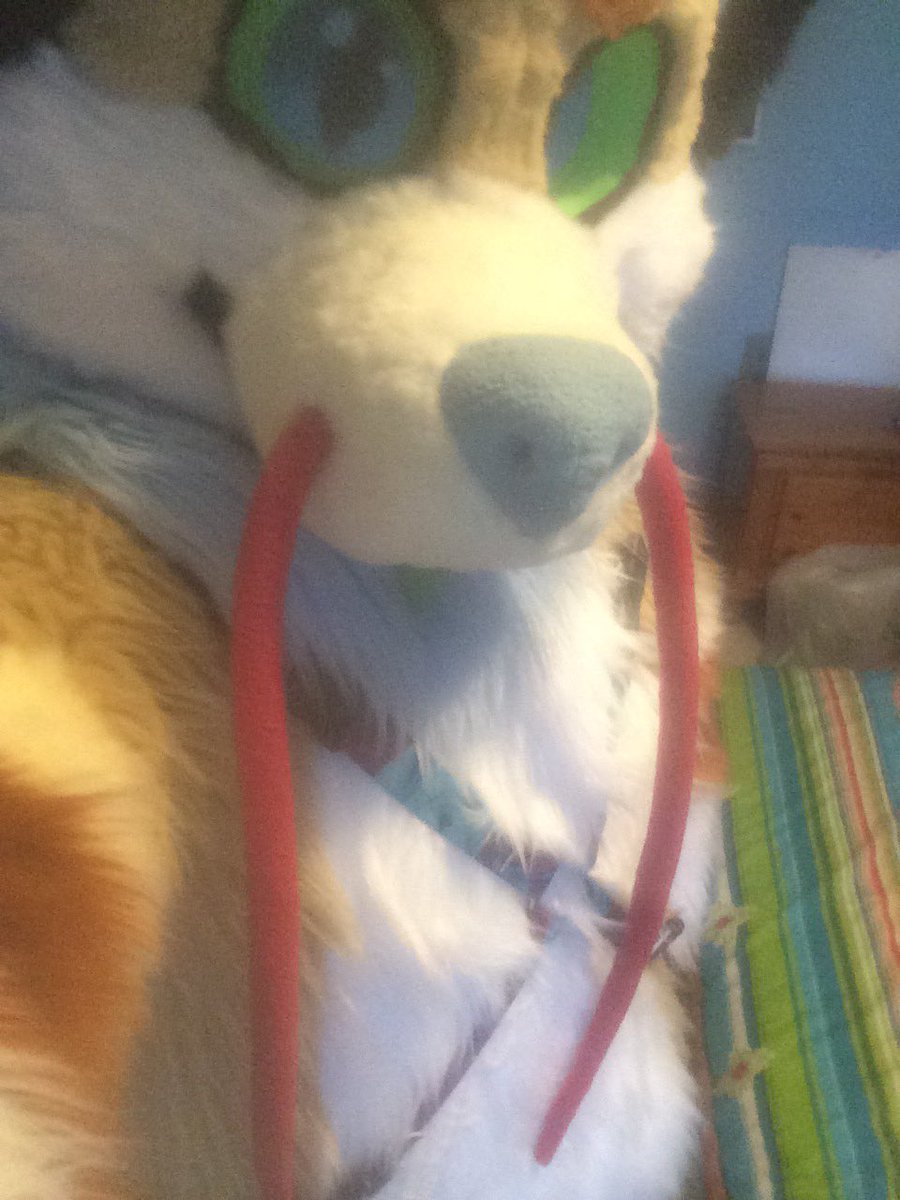 LionDragonLeo1's tweet photo. Sorry for the absolutely horrendous picture quality
I’ll probably be getting a better phone at some point with a much better camera xD
In the meantime enjoy Leo with his new harness

#fursuit #fursuitharness #fursuiter #cutefursuit https://t.co/eGUHAxO4dK