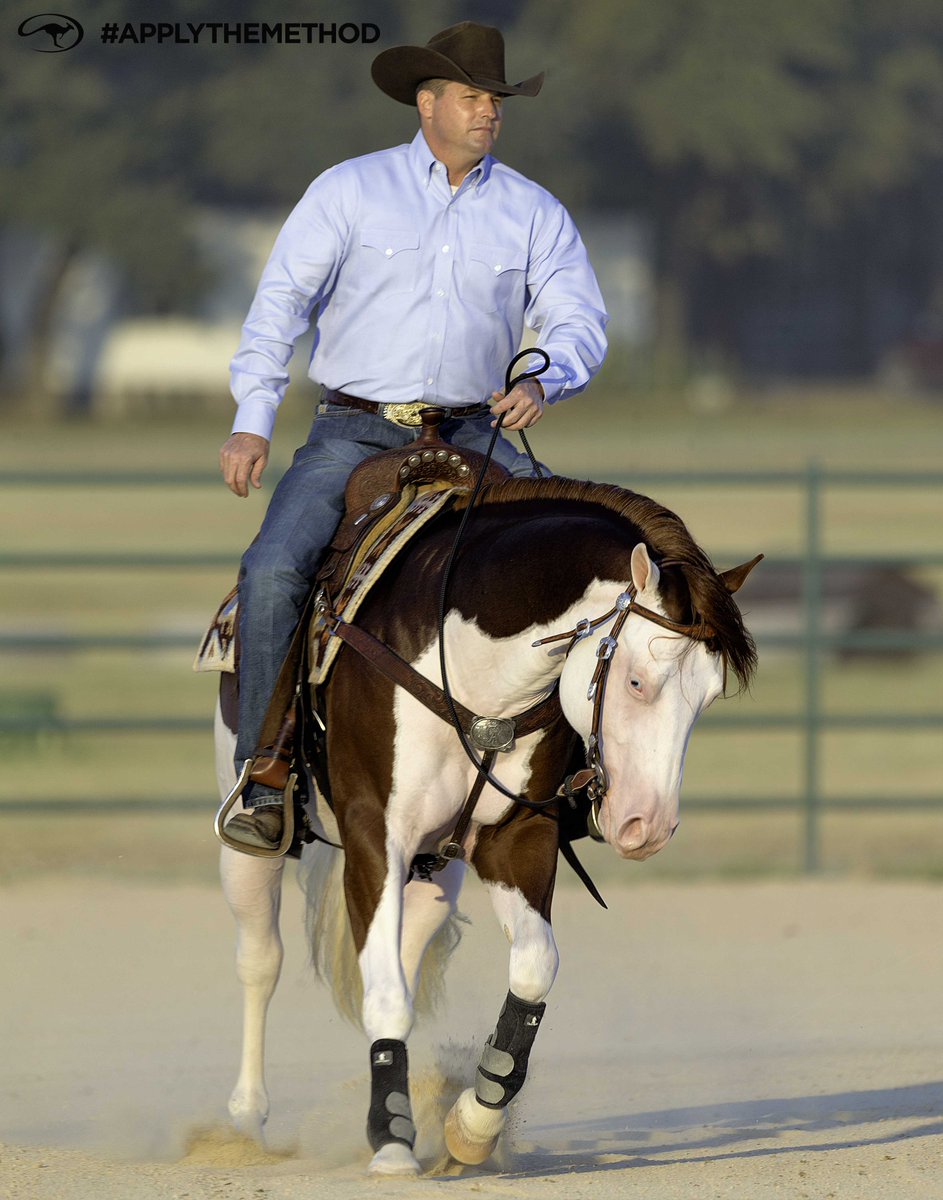 DownunderHorse's tweet photo. Wherever a horse pricks his ears, his attention goes there as well. So if he’s got his ears pricked and he’s looking at something off to the side of the trail, that’s where his attention is. You always want your horse to be tuned in to you. - Clinton #ApplyTheMethod https://t.co/TLBohMA2hA