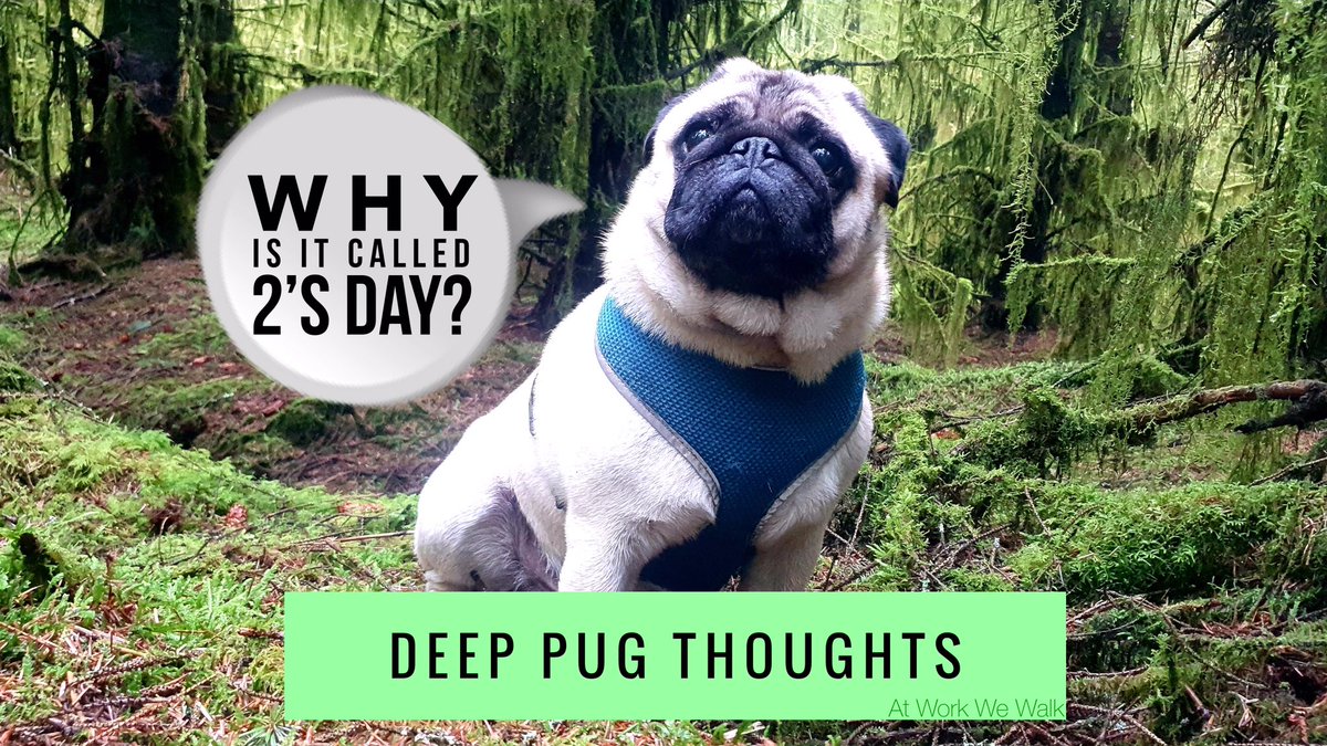 workwewalk's tweet photo. 🤔🤔🤔

Some Deeply Thinking Pug ⬇️

Come join the insanity 🐾

YT: https://t.co/5YVgeMOy2A

IG: https://t.co/9D2OfAtqlO

FB: https://t.co/MF7UcbEc1O

#AtWorkWeWalk #pug https://t.co/llr61QPSZ4