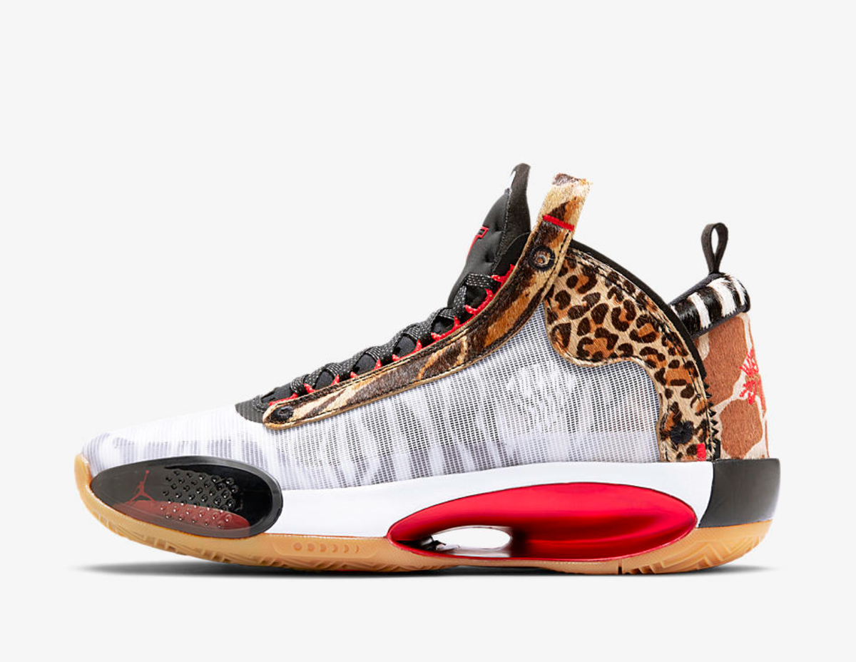 RestockCartel's tweet photo. Jayson Tatum x Air Jordan 34 ‘Zoo’ https://t.co/LObzqL64Yn https://t.co/XHYuxQHGLL