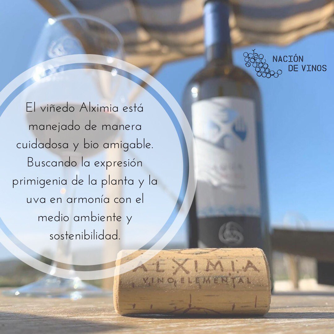 Un viñedo amigable con el medio ambiente y la sostenibilidad <a href="/alximia/">Alximia vinícola</a> #naciondevinos #tomavinomexicano 🍷