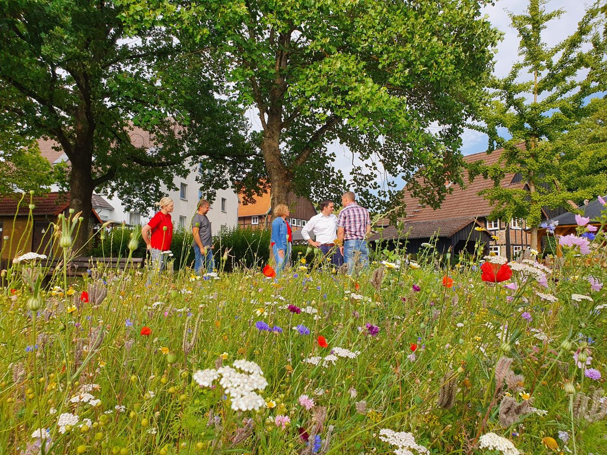schroederk1971's tweet photo. #Heimat
Heute mit unserem SPD Team auf Sommertour in #Niese bei unserem Ratskandidaten Stephan Müller.
Morgen geht es in #Hummersen weiter.
@spdbt @spdde @larsklingbeil @jschraps @stadtluegde
#spdlügde #10Ortsteile1Stadt #Lügdegemeinsamvoranbringen #blomefuerluegde #Lügde https://t.co/3fws7B26BN