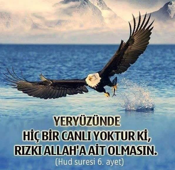 Fth1453tr's tweet photo. Yeryüzünde rızkı Allah'a ait olmayan hiçbir canlı yoktur. O, onların karar kıldıkları yerleri de, emaneten durdukları yerleri de bilir. Onların hepsi apaçık bir kitaptadır.
#Hud6 https://t.co/vxt9T5W7dK