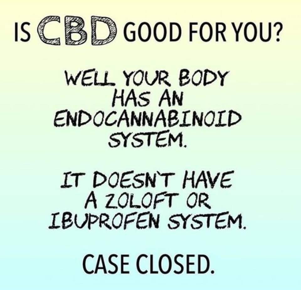 samvlamis's tweet photo. In the 1990’s, scientists discovered endocannabinoids, the natural cannabis-like molecules produced by the human body. 

https://t.co/MixxKqrZS6 https://t.co/RxJdaLOMP1