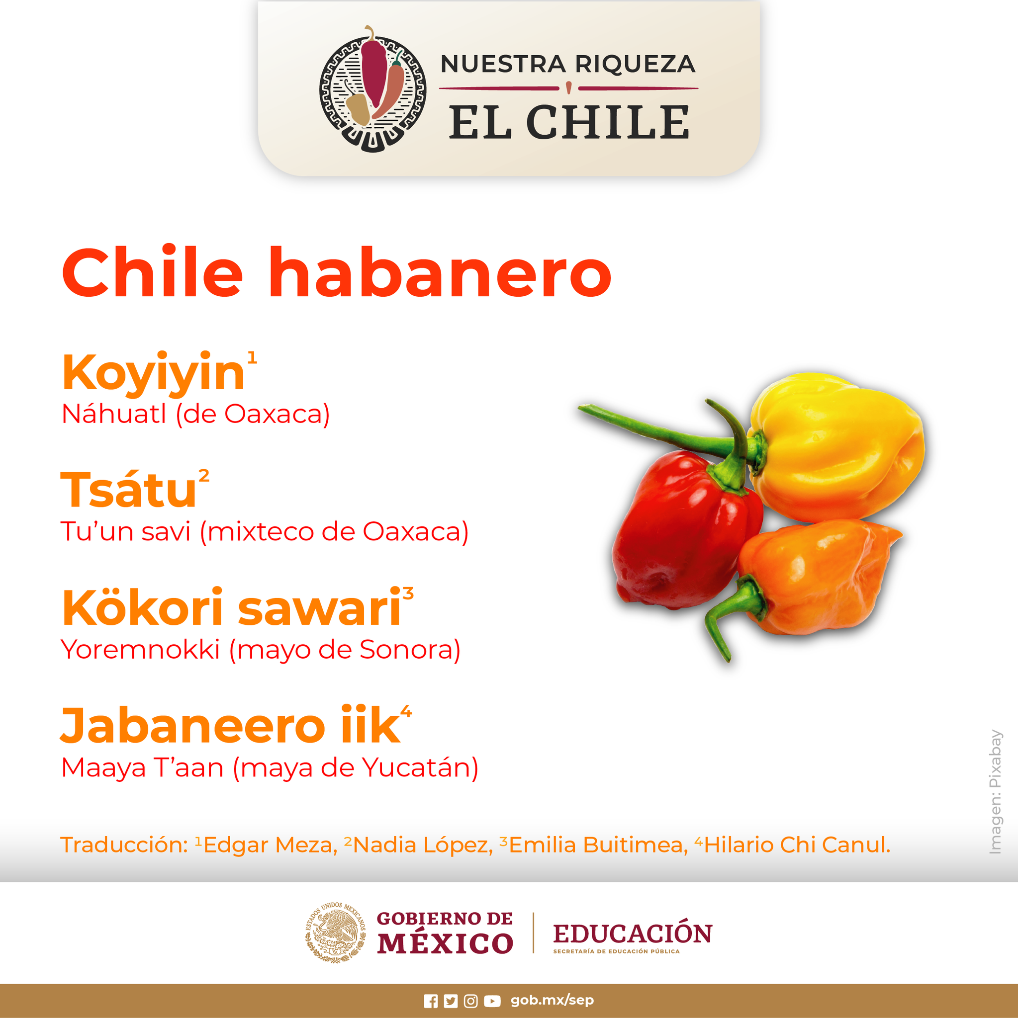 Becasbenito On Twitter En 2010 Se Emitio La Declaracion De Denominacion De Origen Para El Chile Habanero De La Peninsula De Yucatan Con La Cual Quedaron Protegidos Tanto Los Frutos Como Sus Becasbenito On Twitter En 2010 Se Emitio La Declaracion De Denominacion De Origen Para El Chile Habanero De La Peninsula De Yucatan Con La Cual Quedaron Protegidos Tanto Los Frutos Como Sus