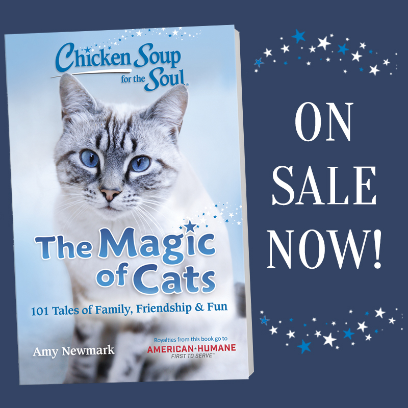 AmericanHumane's tweet photo. The new books from @chickensoupsoul about our magical friendships with #cats and #dogs are available now, and royalties support American Humane! Look for CSS: The Magic of Dogs and CSS: The Magic of Cats online or at your local retailer. #CSSTheMagicofDogs #CSSTheMagicofCats https://t.co/XOPO46VcGI