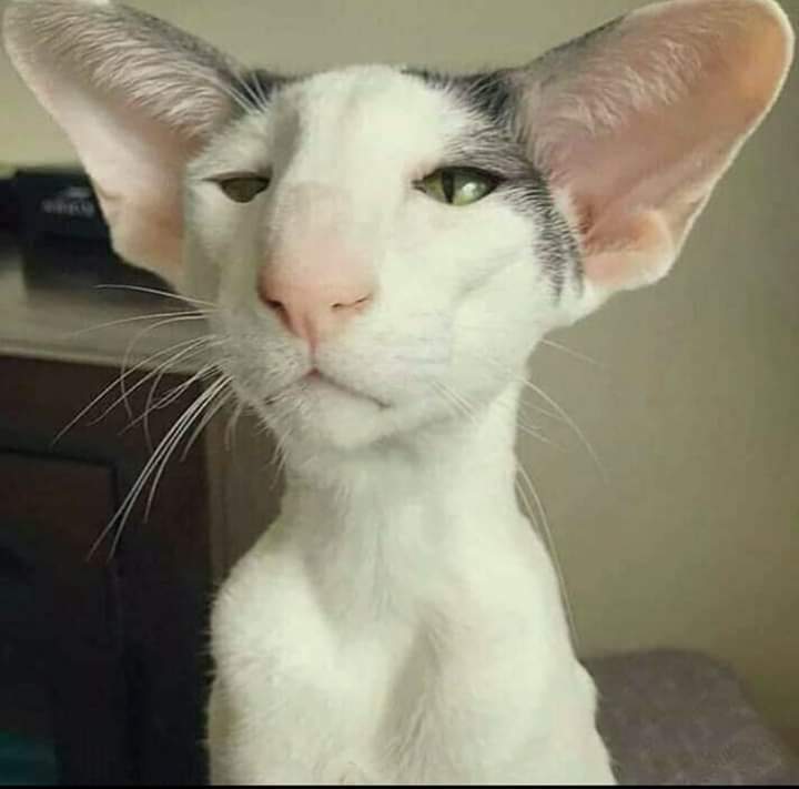 و احنا داخلين ع ٢٠٢١ بعد انتهاء فقرة الكمامات😂😂😂😂🤭