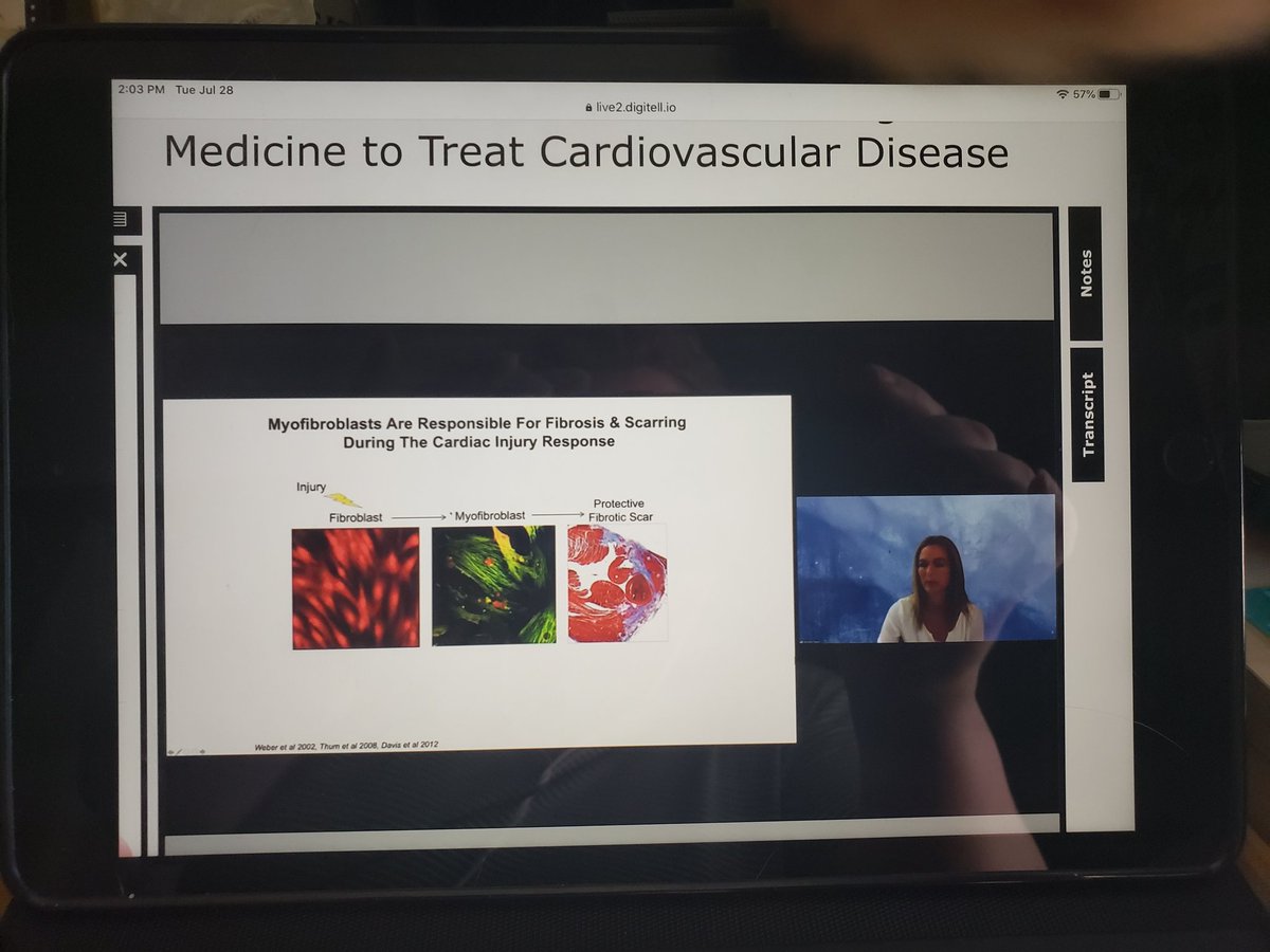 nhpetunia's tweet photo. Shout out to Jen Davis from  @UW for and her work on #MBNL-1 and its role in cardiac fibrosis. @AHAMeetings 
@AHA_Research @AHAScience @CircRes https://t.co/A0OK1aUVPf