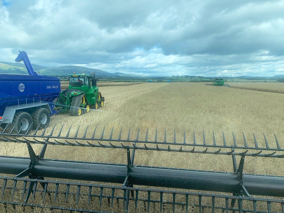 🇺🇦🇺🇦RM & JF Seed🇺🇦🇺🇦 tweet media