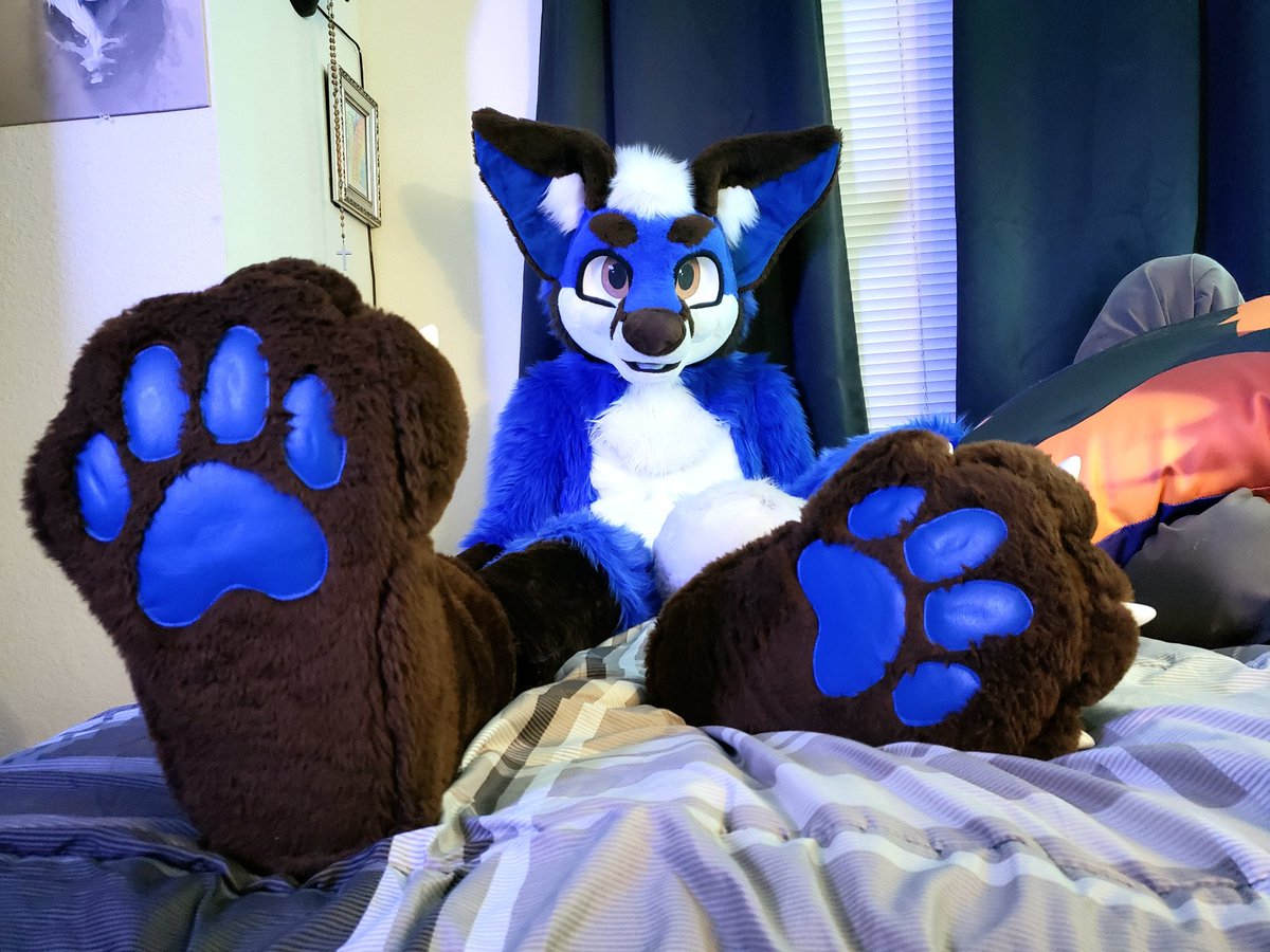 Keno_Fox's tweet photo. I've been waiting for you <3 https://t.co/YgkHOeUvVQ