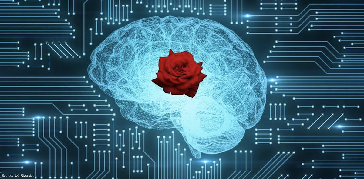 RoyalVoxPost's tweet photo. #AI #OlfactorySystem: researchers used #MachineLearning to predict human olfactory perception from the activity of odorant receptors. The developed algorithm could help to find novel combinations of smells for the flavor, fragrance, and food industries - https://t.co/6LjL666yHC https://t.co/FNBEzu2YL0