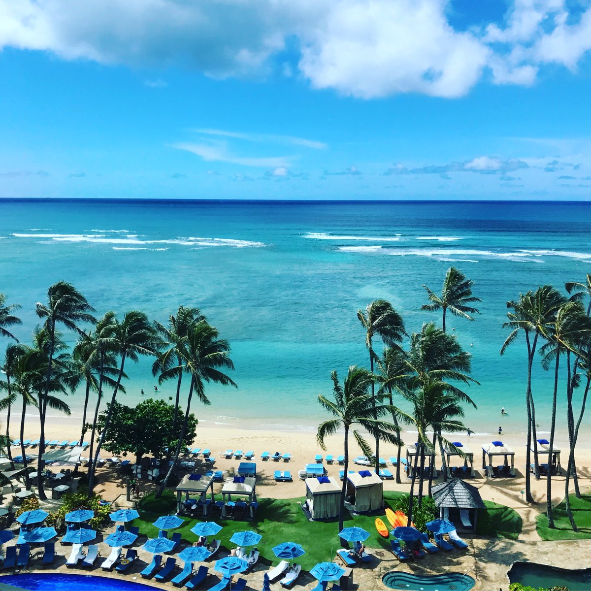 baliwai's tweet photo. Imagining the beautiful sound of the sea... https://t.co/MZBaOdi862