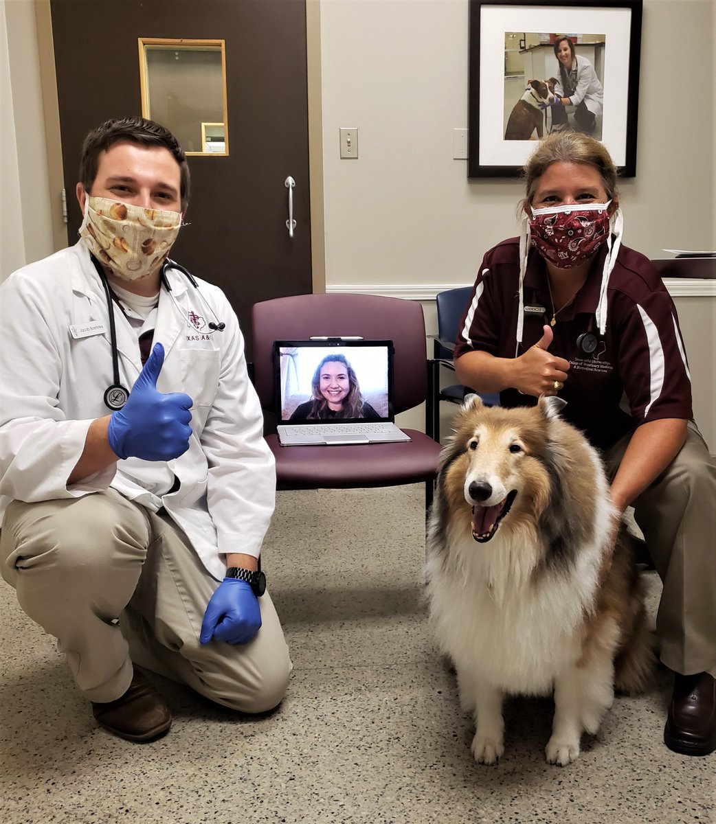 Texas A&M Veterinary Hospital tweet media