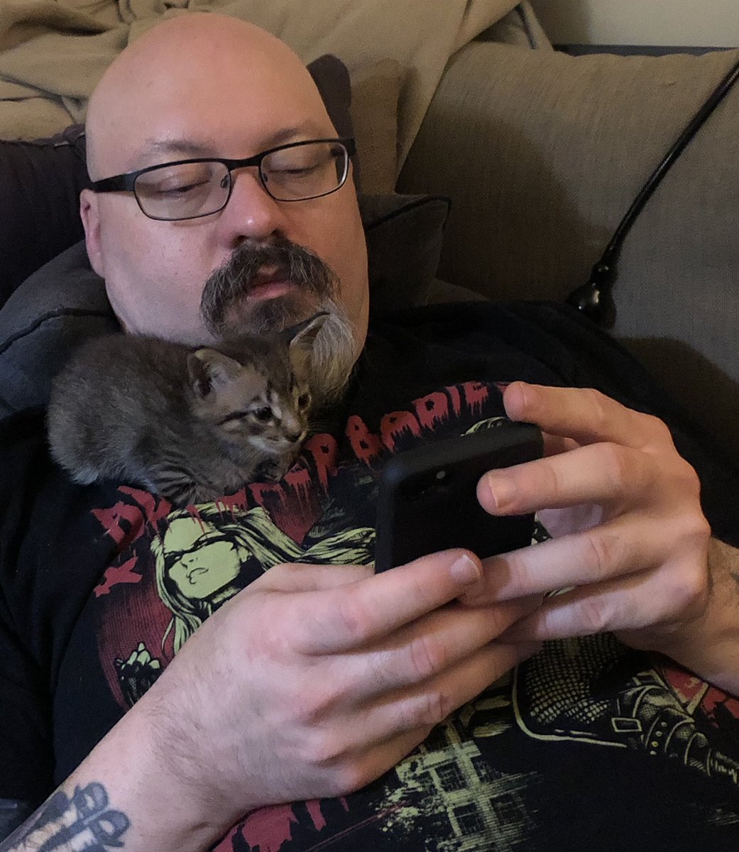Kevin, no! Don’t show the kitten the Internet yet! It’s too young!