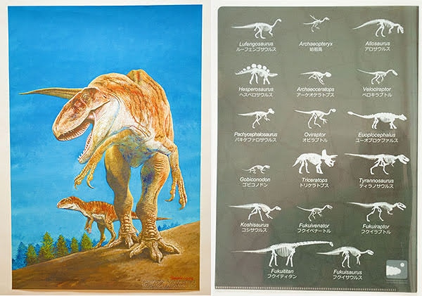 ちゃまりゅう 可愛いオリジナル恐竜キャラクターグッズ 表は小田隆氏によるフクイラプトルの復元画 裏は17種類の骨格イラストが描かれたクリアファイルです 恐竜ファンにはたまらない1品 この復元画のポスターも扱ってます 恐竜博士監修 恐竜博士に