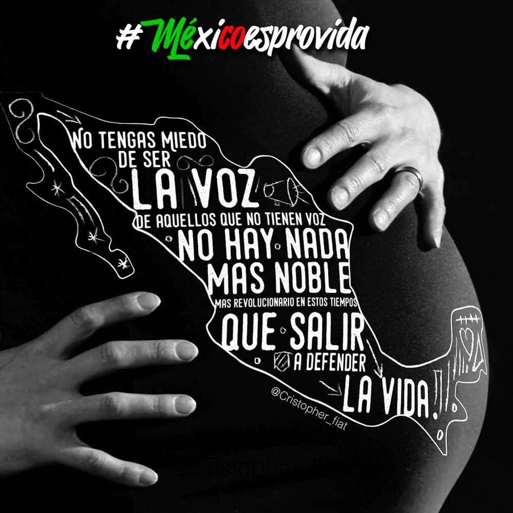 LupitaVenegasDC's tweet photo. Los mexicanos defendemos la vida! 🙏 https://t.co/0vNfKnJGHx