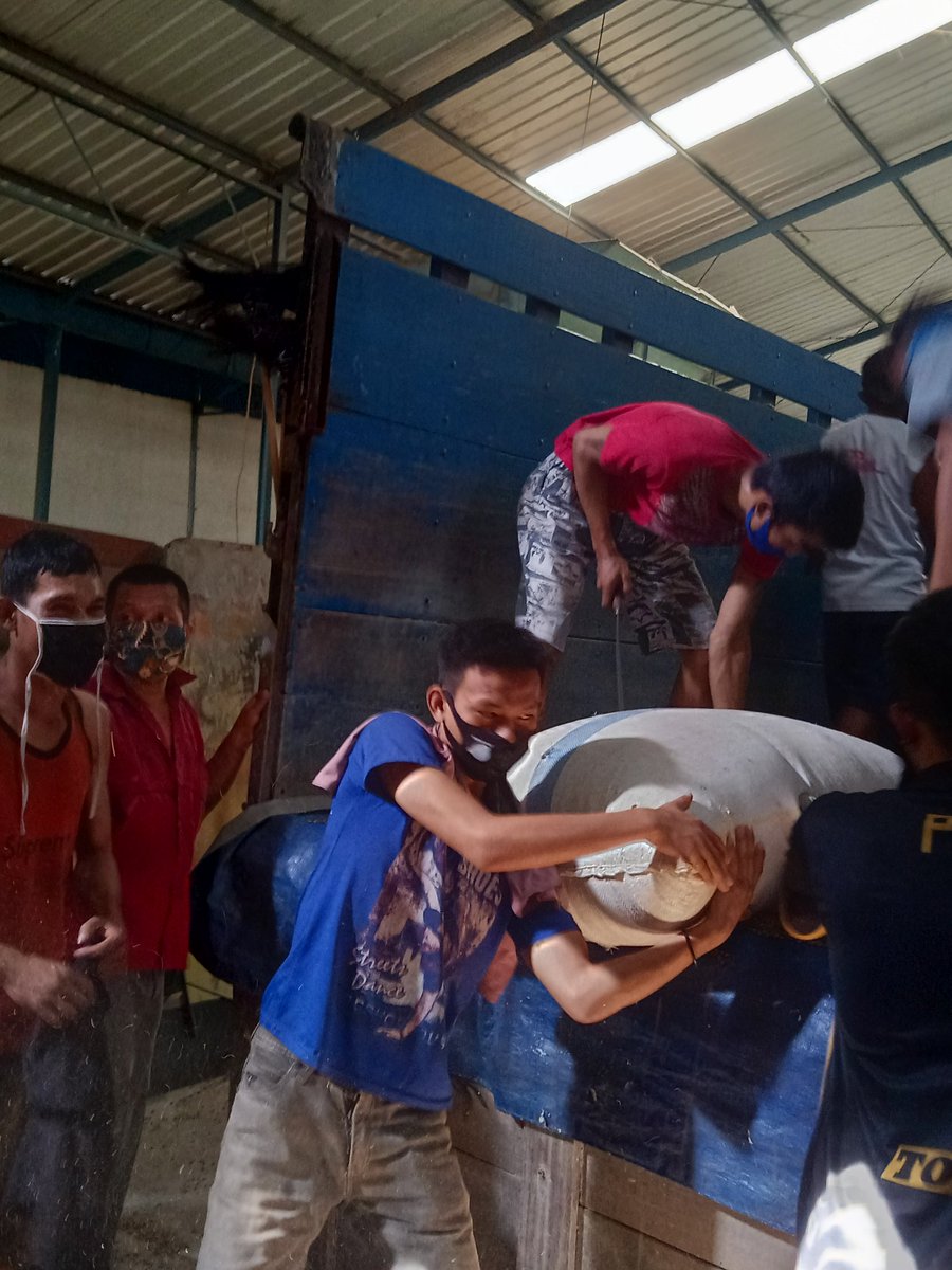 Proses bongkar biji hijau kopi (selanjutnya di sebut GB ya. Singkatan dr green bean).