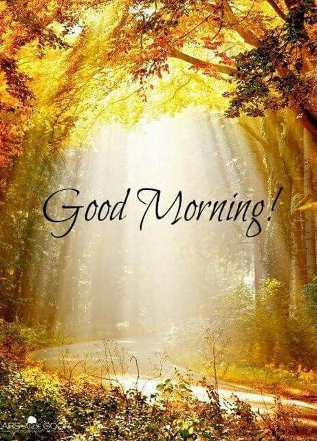 smsmaja's tweet photo. चेहरे पे हँसी आँखों मे खुशी,
गम का कही काम ना हो,
हर सुबह लाए आपके जिंदगी मे बहुत खुशियाँ,
जिसकी ढलने की कोई शाम ना हो…
GOOD MORNING !
#Goodmorning #morning##goodmorningsms #Goodmorninghindisms #Goodmorninglove #tc #gm #smsmaja #hindigoodmorningsms

https://t.co/uFnfVUcJZe https://t.co/uDA5c23TUk
