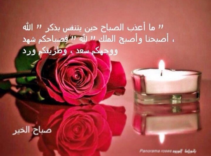 سبحان الله
الله أكبر
الحمد لله
أستغفر الله