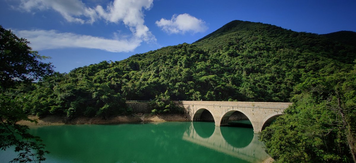 Don't know what people think of when they think of  #HongKong, but here's a bit from a morning  #hike ...