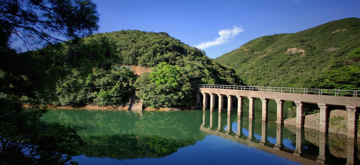 Don't know what people think of when they think of  #HongKong, but here's a bit from a morning  #hike ...
