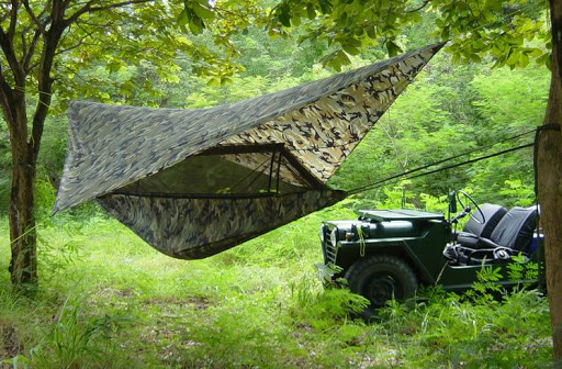 Hammock camping. You can just get a hammock or a hammock with mosquito netting -either way, you want to get a rainfly to go over your hammock.In the winter, you will NEED an underquilt. Make sure you spend real money here. #TheResistance