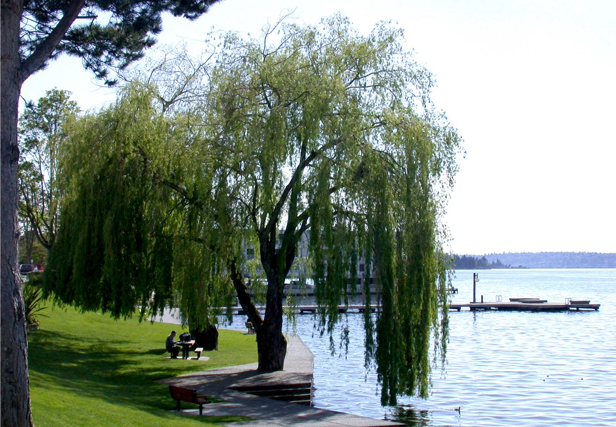 Starting Wed 7/29 we will be closing the parking lot and pier @ Houghton Beach Park &amp; the pier @ David Brink Park. These closures are to help address frequent large gatherings that have been occurring at these locations in violation of health directives bit.ly/3jIZ8Ot