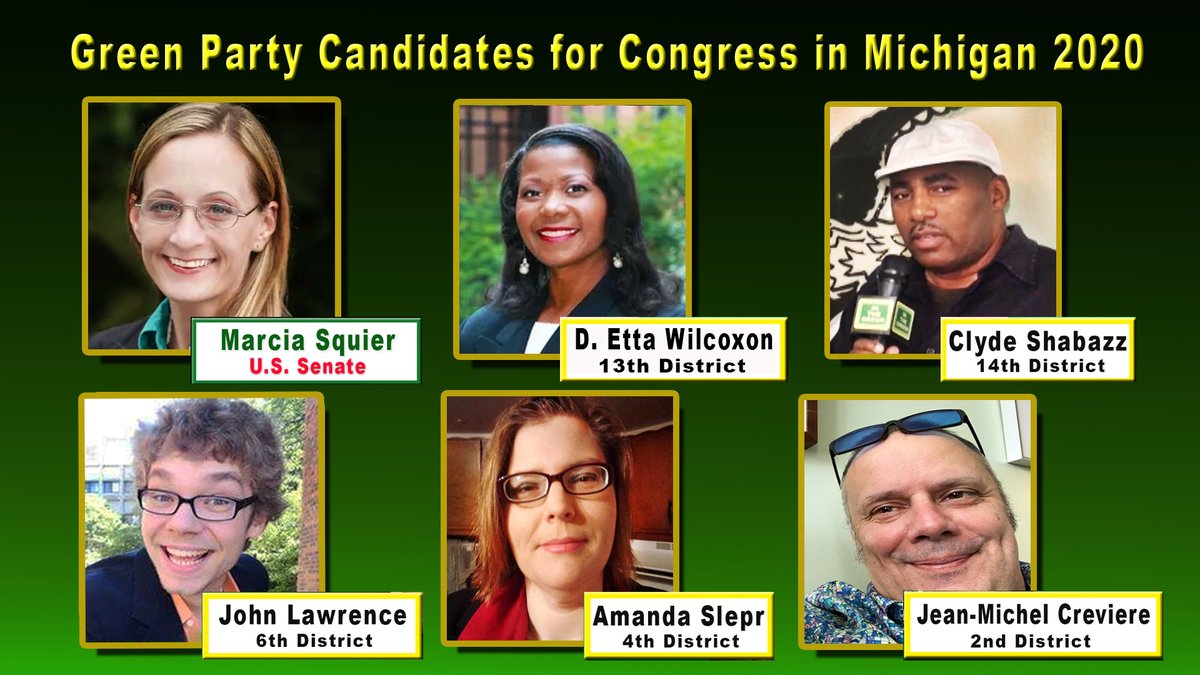 Washtenaw Co. Greens tweet media