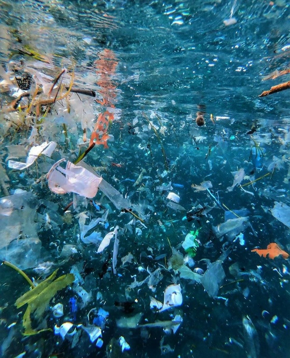 Qui estima la mar, la cuida. 

Sense paraules