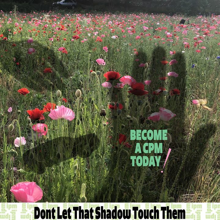 PlantMotivation's tweet photo. Join a remote learning session and gain the tools to morally interact with plants!
.
.
.
.

#bloom #flower  #pollen #finger #intimate #touch #empathy #IPM #join #training #zoom #onlineeducation #motivation #health #lifestyle #now #oil #plantmotivation #b… https://t.co/1NQuhrI0fo https://t.co/P1zacHAKgq
