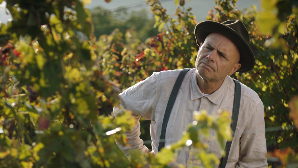 DEADLINE's tweet photo. Samuel Goldwyn Picks Up Joe Pantoliano Italy-Set Drama ‘From The Vine’ https://t.co/Gd2gabwDNu https://t.co/4EalUetya8