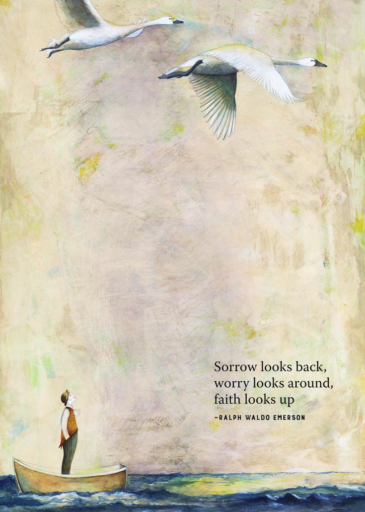 JORDAN & (Phoenix Conure) (@cinnaphoenix) on Twitter photo 