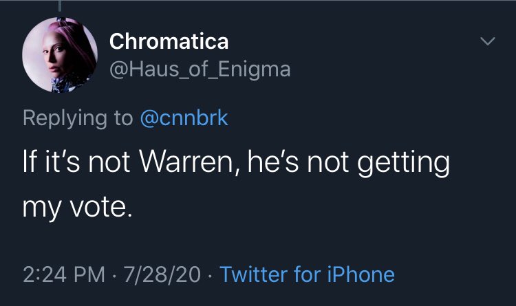 TrinityMustache's tweet photo. The Warren Dems are now threatening to not vote for Joe Biden if she isn’t on the ticket https://t.co/bIHy17EdNm