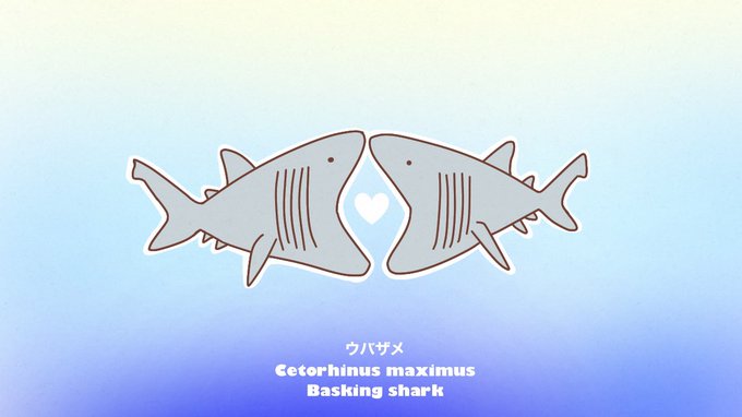 さとし工房さん がハッシュタグ サメ をつけたツイート一覧 1 Whotwi グラフィカルtwitter分析