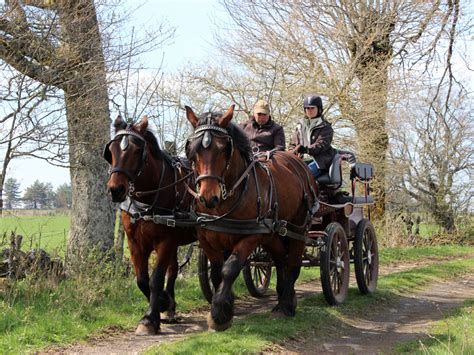 2 - L'attelage :Un ou plusieurs chevaux tirent un chariot avec un certain nombre de personnes dedans pour visiter où se balader.
