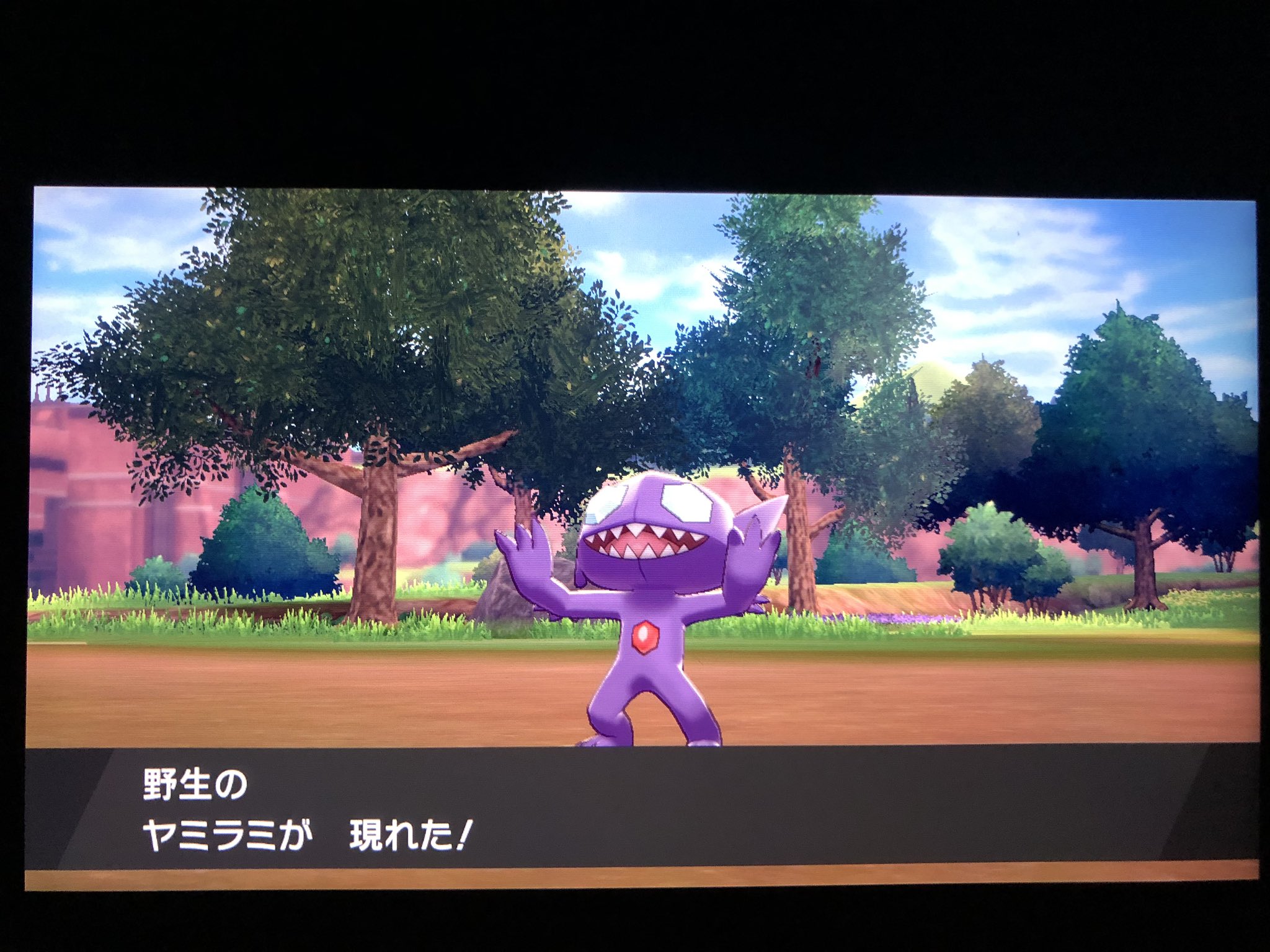 フカヒロ Pixivリクエスト5作目納品 募集停止中 アキラのガラル冒険記 改めて霧の天候でしか会えないポケモンを捕まえに行く 先ずはホウエン世代のヤミラミ この子にボールを投げたら 普段より球速が上がり ボールが1回しか揺れない内にゲット完了