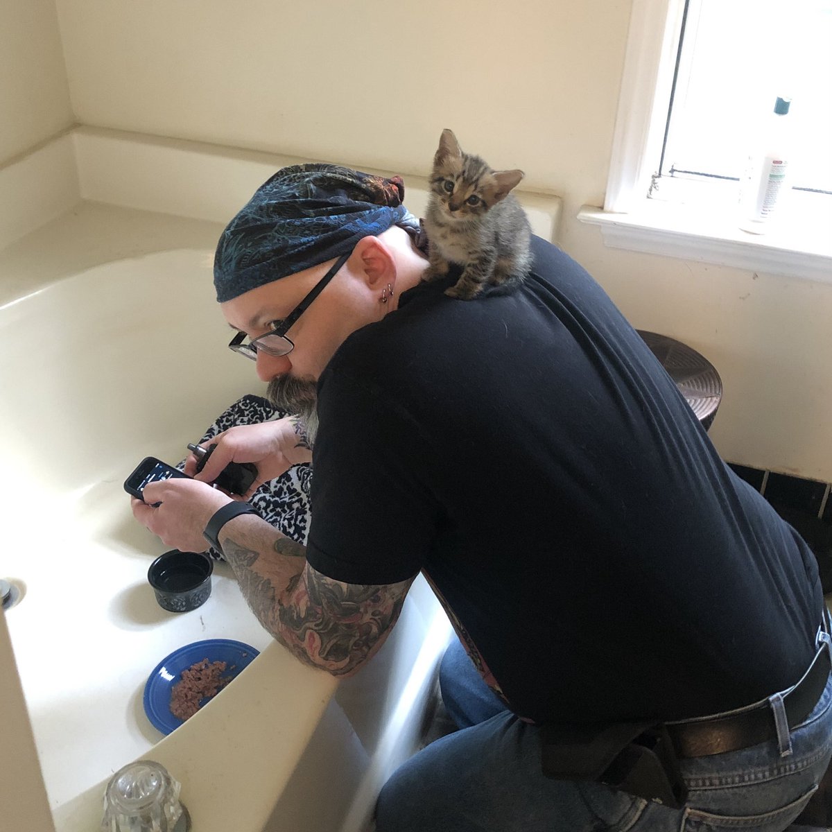 So I walk upstairs and find Kevin defeated as he attempts to set up a kitten refuge in the tub.