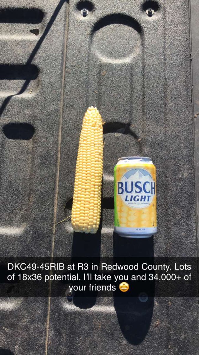 Steven Regan (@regan_1215) on Twitter photo 