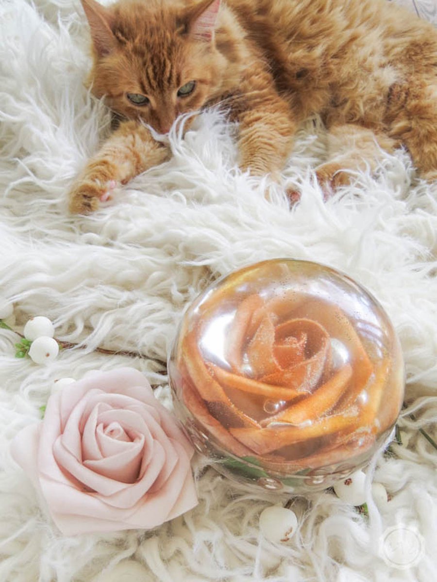 HappilyEverAEtc's tweet photo. I am IN LOVE with this little resin project... it's the perfect way to preserve flowers from your wedding bouquet! Plus it looks super cute with my cat... who thinks this photoshoot is for her. #resinprojects #ad @WagnerSprayTech 

https://t.co/6NFOpMqnz7 https://t.co/jgW7rw0SDI