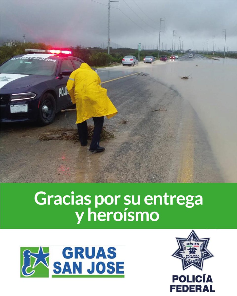 FEDERAL CAMINOS tweet media