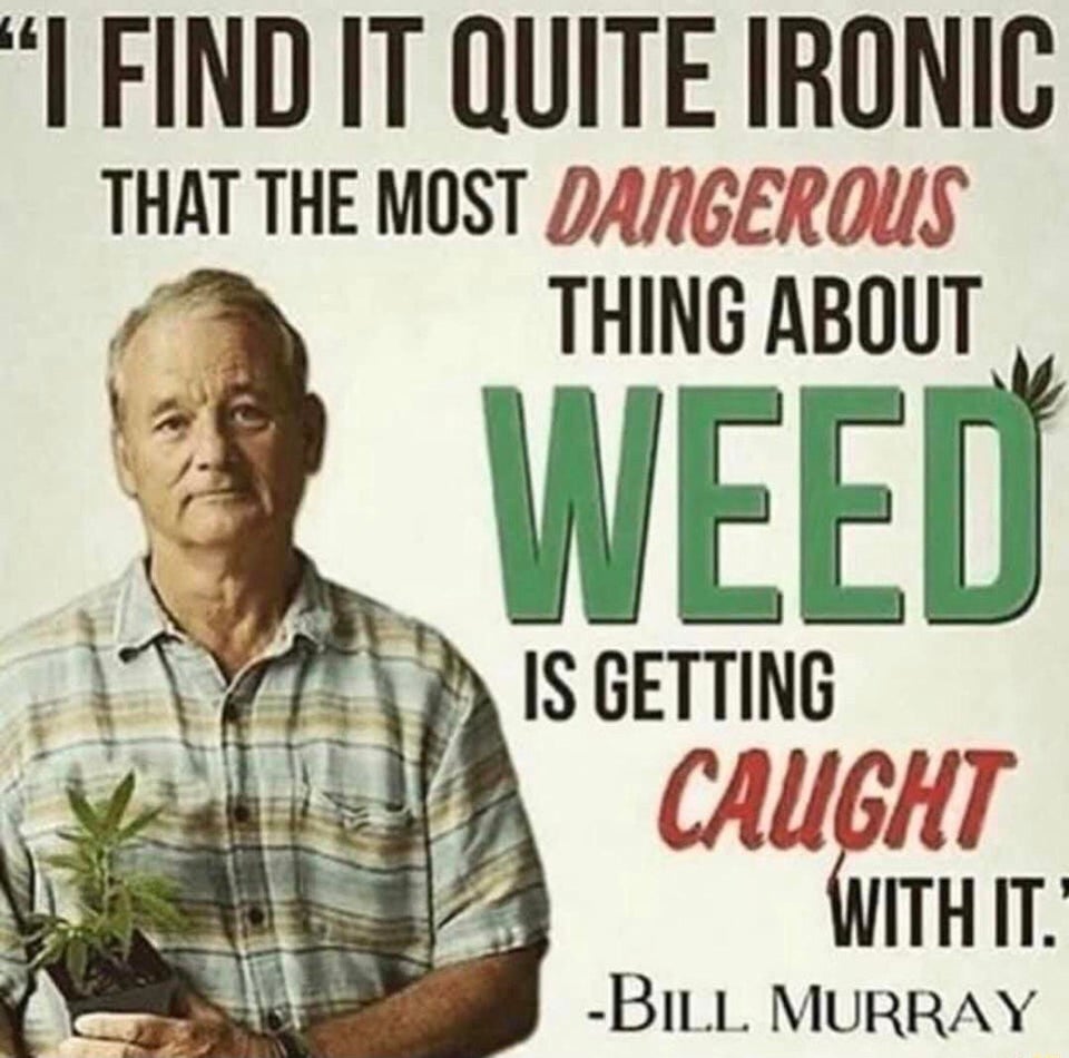 Mary News I Find It Quite Ironic That The Most Dangerous Thing About Weed Is Getting Caught With It By Bill Murray Cannabis Weed Legalizeit Spininelfianco T Co Xyoactlhzc