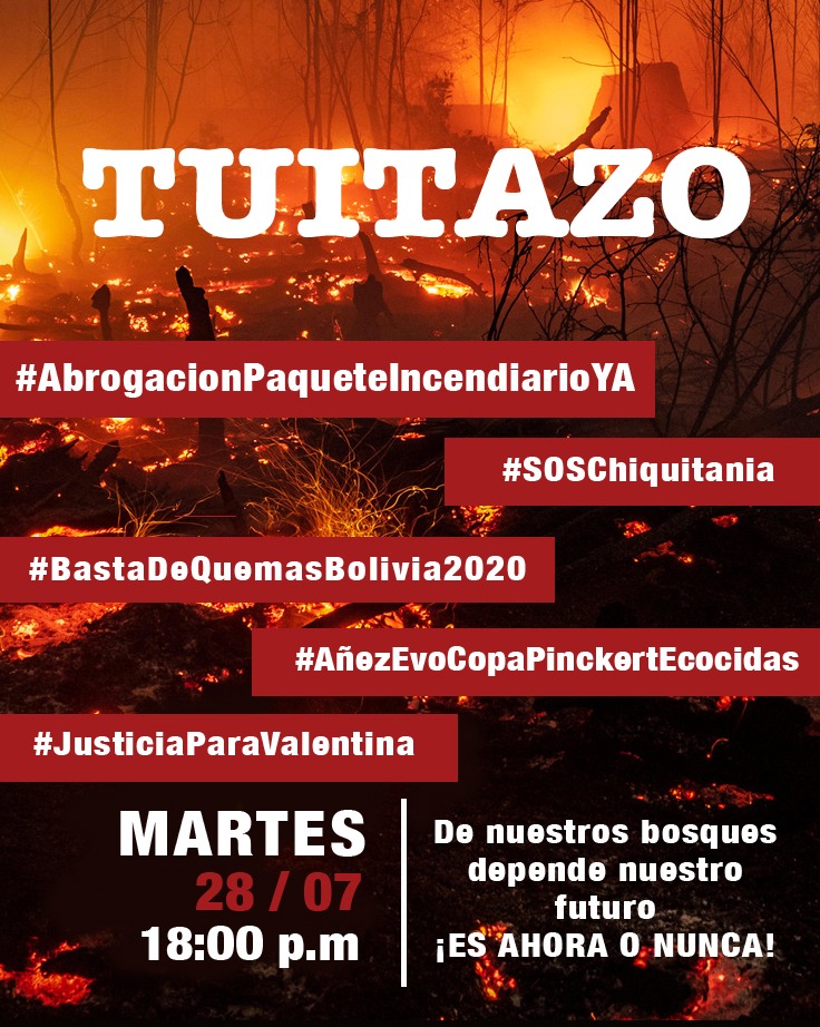 Patpatinio's tweet photo. @JeanineAnez @LuisRevillaH @maricruzribera https://t.co/GPHSErUznk