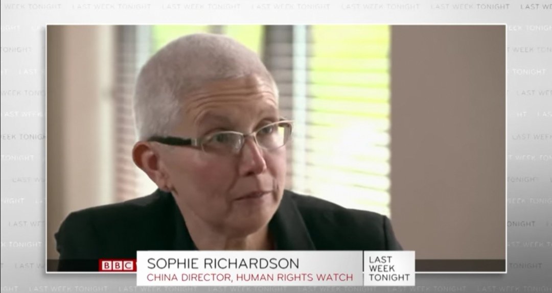 Sophie Richardson's attempt to burry logical questions about her research and inability to back up anything she says makes her great for more comedic relief. https://mobile.twitter.com/DanielDumbrill/status/1286803907989999616?s=19