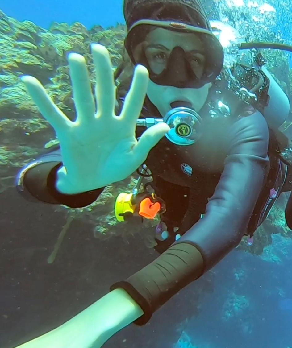 BuceoMX's tweet photo. Felicidades @alita_pastrana por tu certificación de #OWDiver este fin en #Cozumel se suma un explorador más para cuidar los océanos.
#aprendeabucear #academiadebuceo https://t.co/6bDPoquC6v