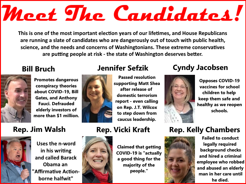 With ballots in hand and Election Day right around the corner, Republicans are sporting quite the lineup...
Check them out for yourself: wahouserepublicans.com #waleg #waelex