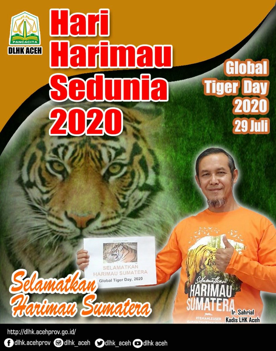dlhk_aceh's tweet photo. Hari Harimau Sedunia 2020
••
Global Tiger Day 2020
29 Juli 2020
•
•
Selamatkan Harimau Sumatera
•
•
#savetigers 
#savesumatrantiger 
#globaltigerday2020 
#savefaunaindonesia 
#saveleuserecosystem https://t.co/9CYyMZGLty