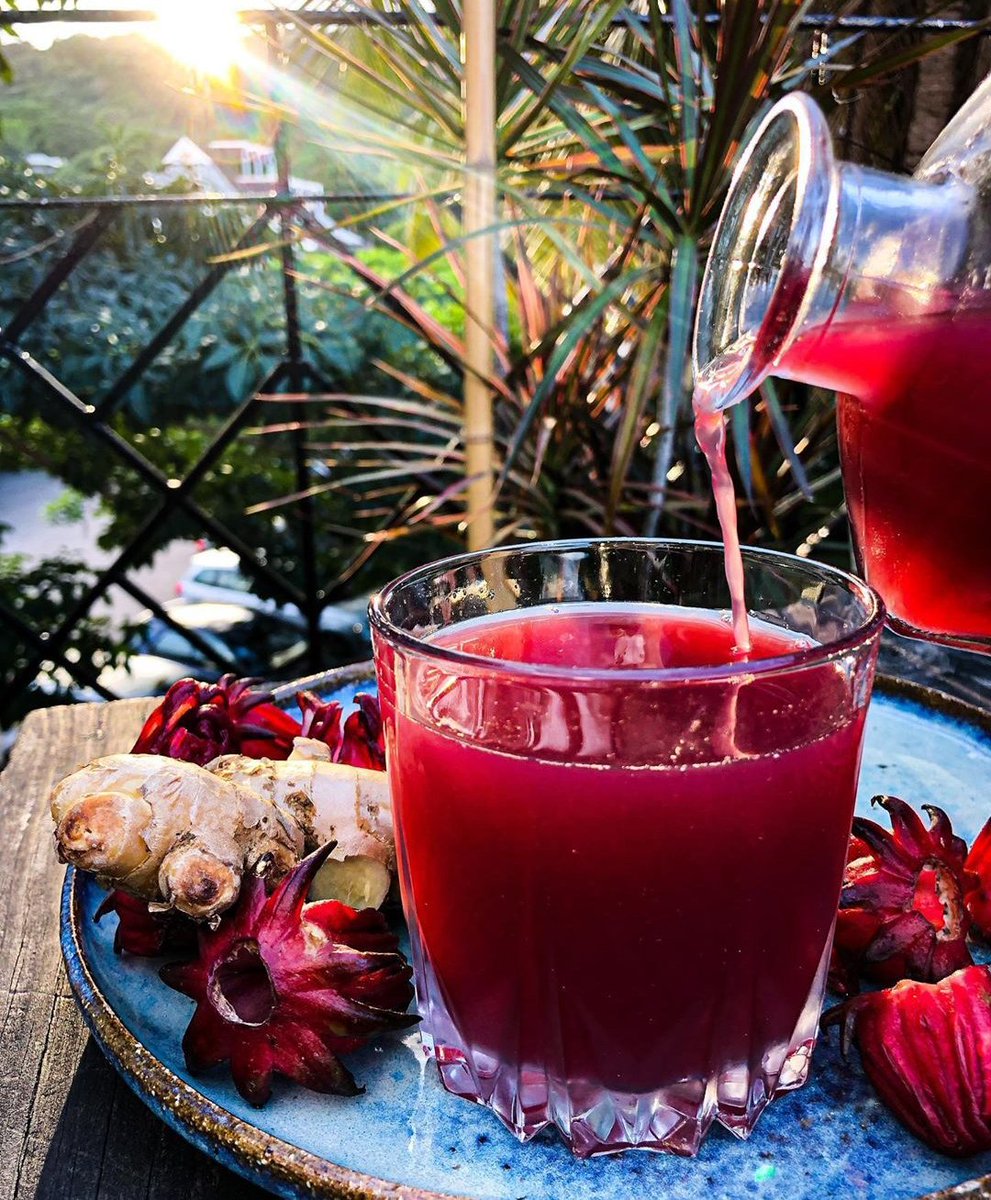 DonnarayRoc's tweet photo. All NATURAL Healthy Benefits in Jamaica we call it Sorrel. Very tasty!! #rocfactory #pureroc #purejamaica https://t.co/2ufQHHMlan