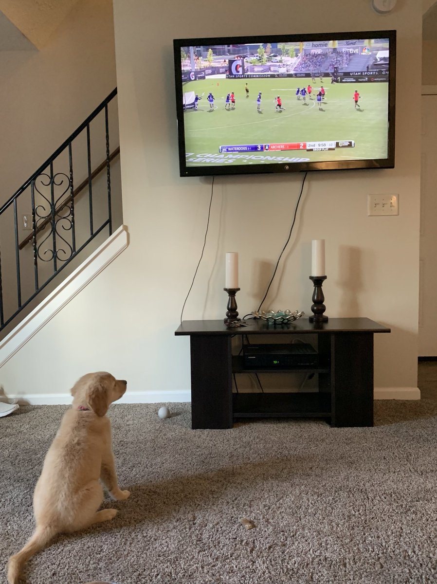 yunkadunk1's tweet photo. Jed watching his team get after it! @PLLWaterdogs @PremierLacrosse #PLLWatchParty https://t.co/KqAL82xWZw